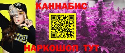 гидропоника Камышлов