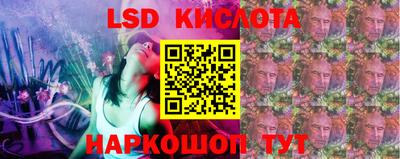 гидропоника Камышлов