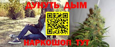 гидропоника Камышлов