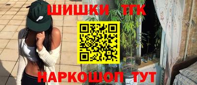 гидропоника Камышлов