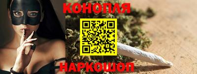 гидропоника Камышлов