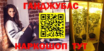 гидропоника Камышлов