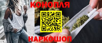 гидропоника Камышлов