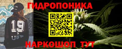 стаф Канаш