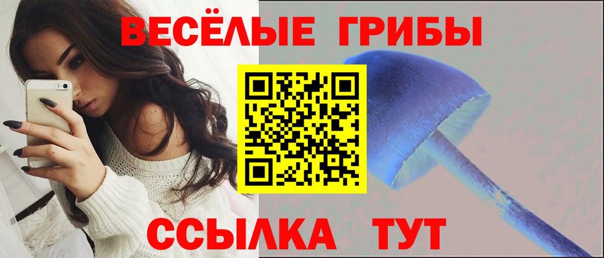 Псилоцибиновые грибы мицелий Ленинск-Кузнецкий